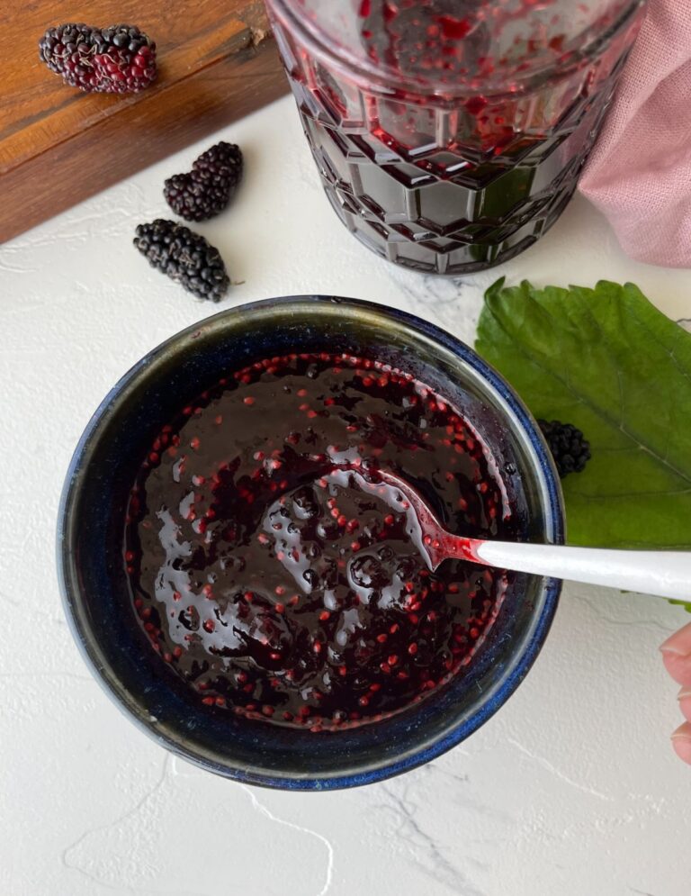 Mulberry BBQ Sauce