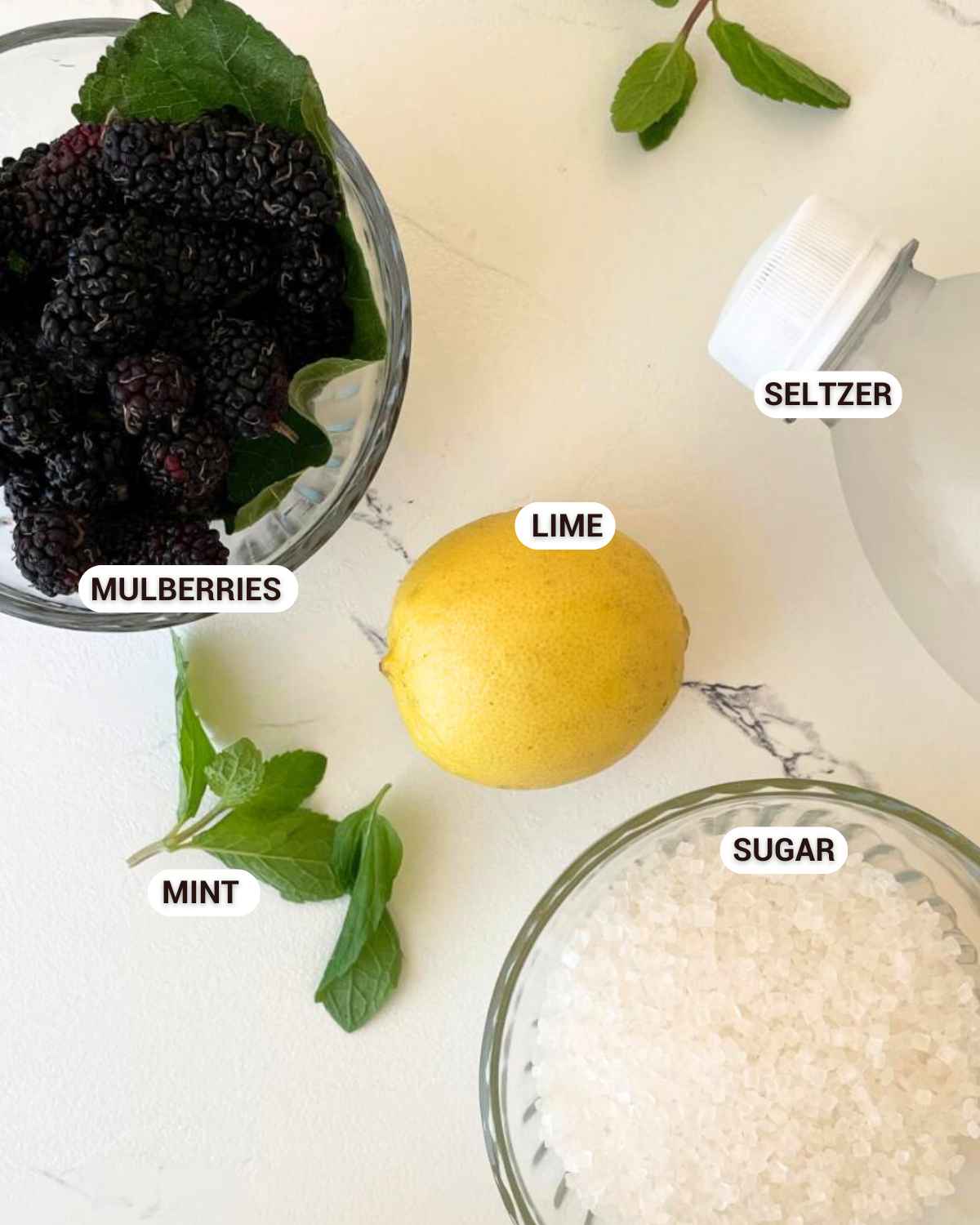 ingredients for the mulberry mojito