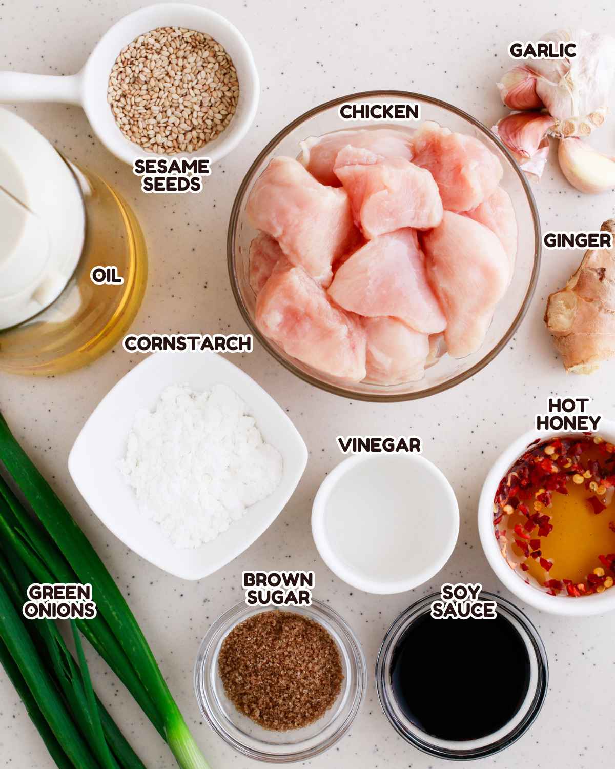 Ingredients shot of Teriyaki Chicken