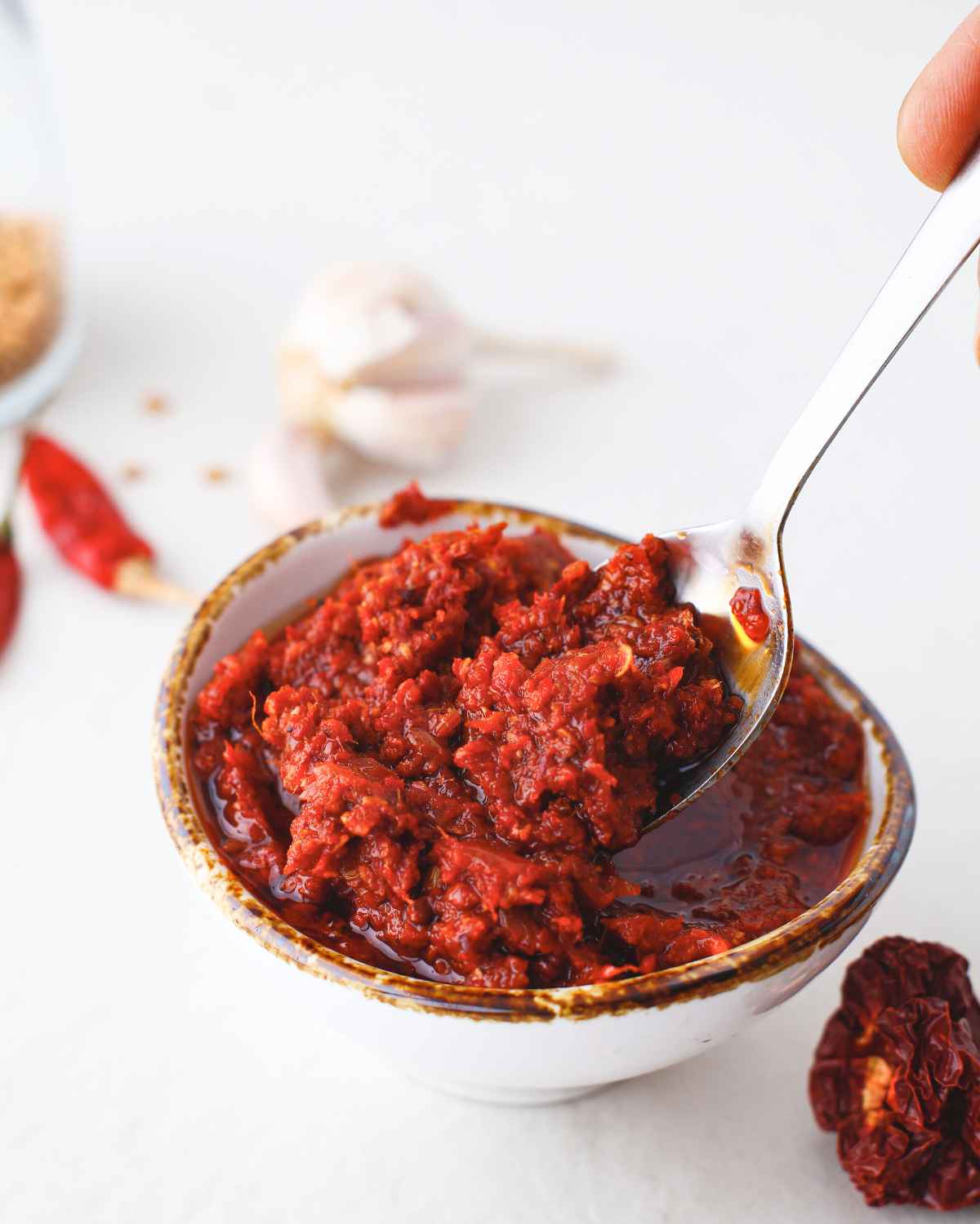 Delicious Vindaloo Paste in spoon taken out from a bowl